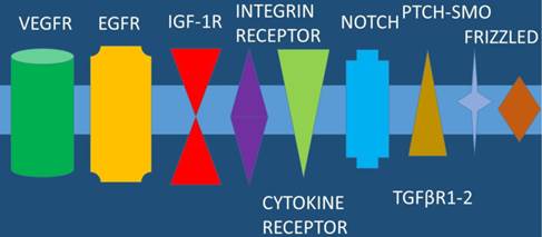 J Cancer Image