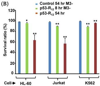 J Cancer Image