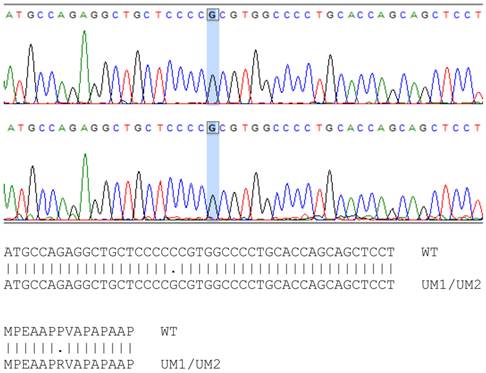 J Cancer Image