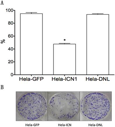 J Cancer Image