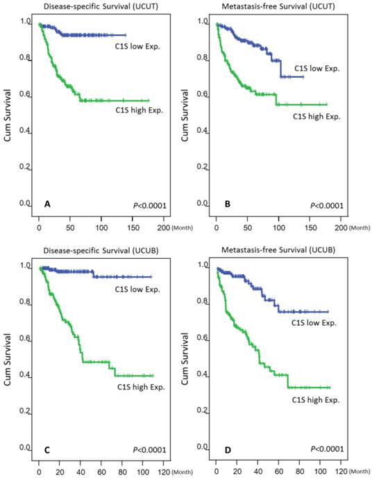 J Cancer Image