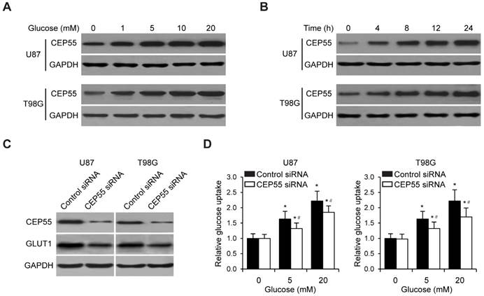 J Cancer Image