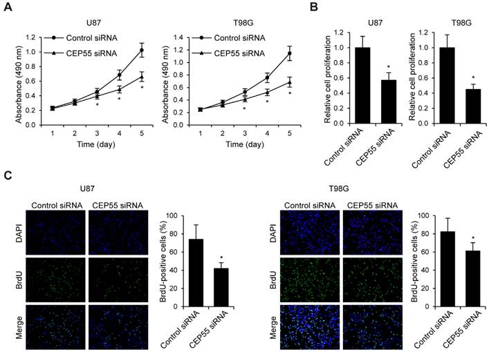 J Cancer Image