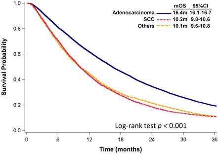 J Cancer Image