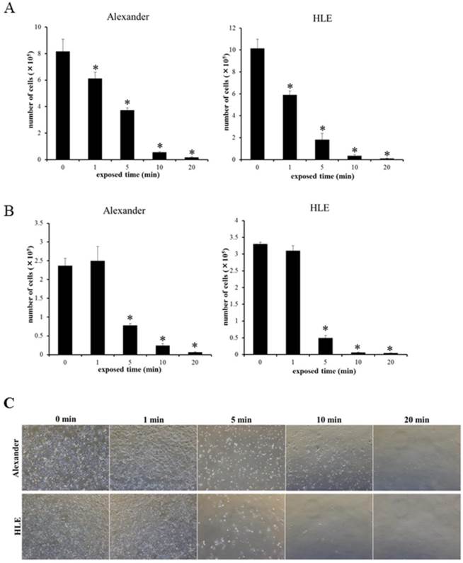 J Cancer Image