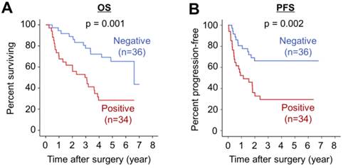 J Cancer Image