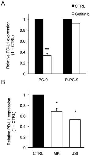 J Cancer Image