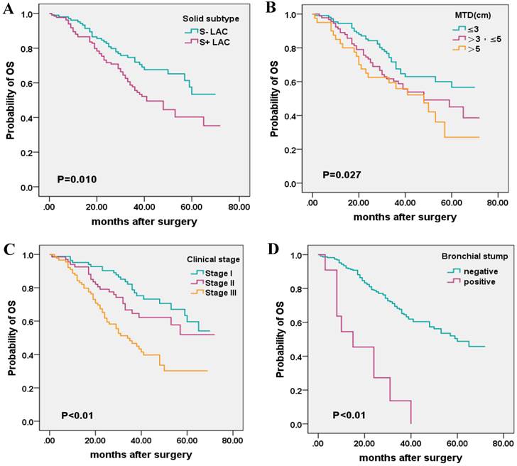 J Cancer Image