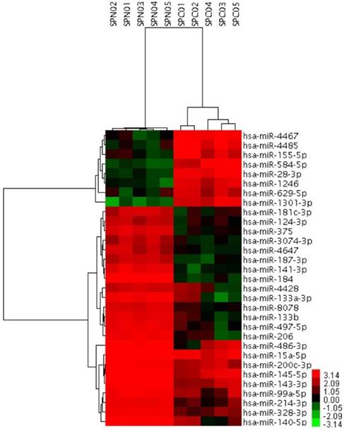 J Cancer Image