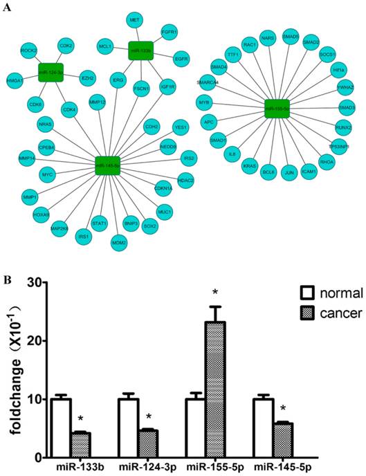 J Cancer Image