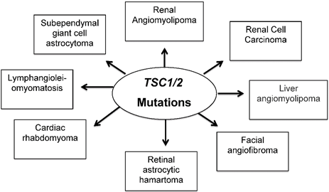 J Cancer Image