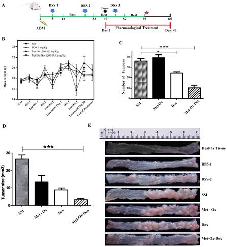 J Cancer Image