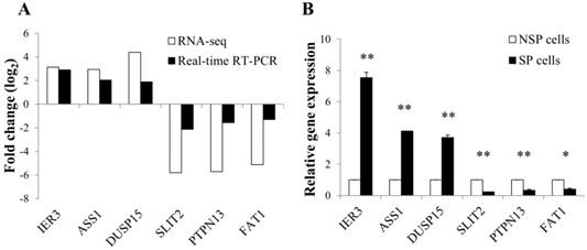 J Cancer Image