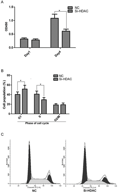 J Cancer Image