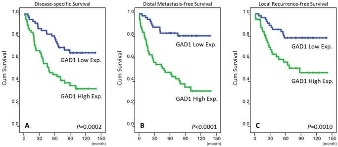 J Cancer Image