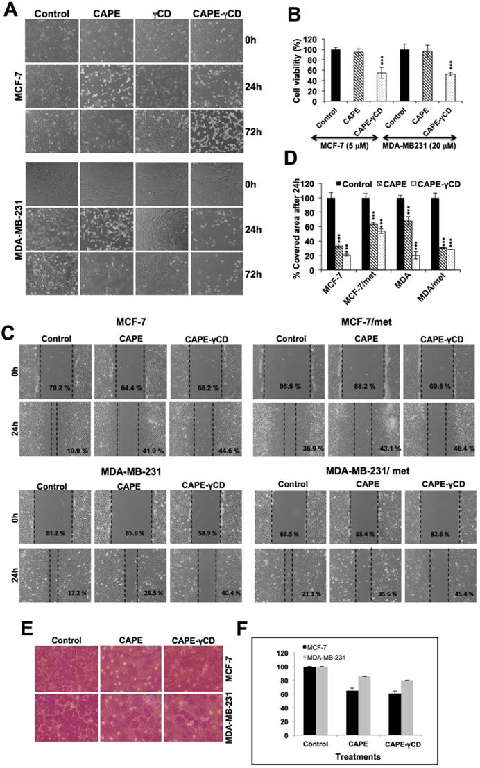 J Cancer Image