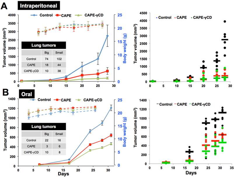 J Cancer Image