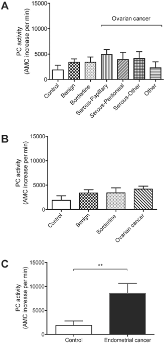 J Cancer Image