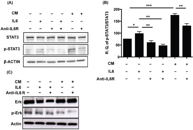 J Cancer Image