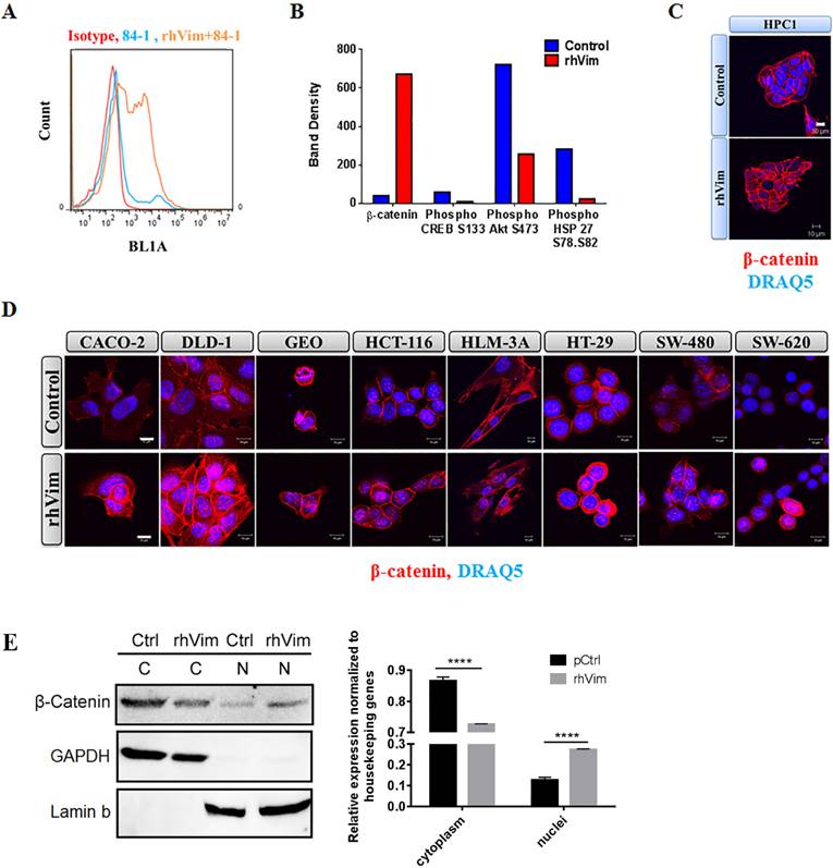 J Cancer Image