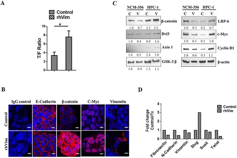 J Cancer Image