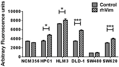 J Cancer Image