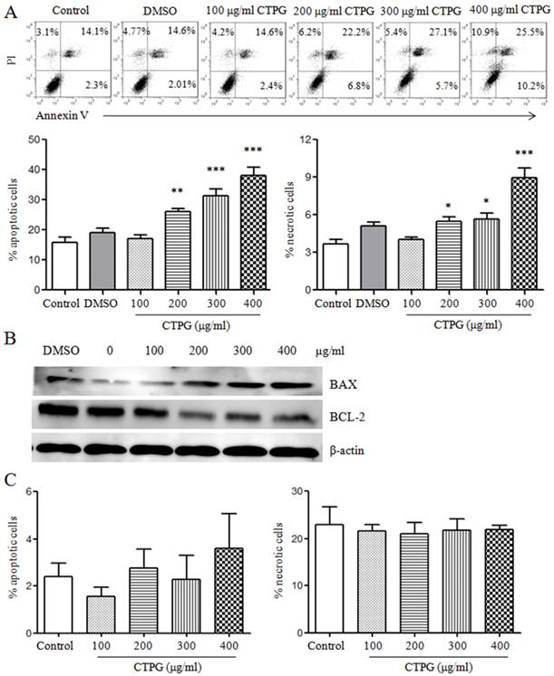 J Cancer Image