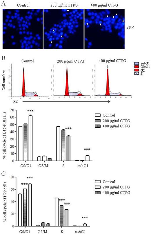 J Cancer Image