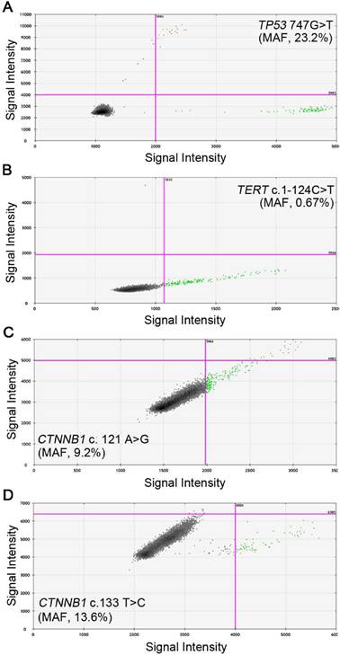 J Cancer Image