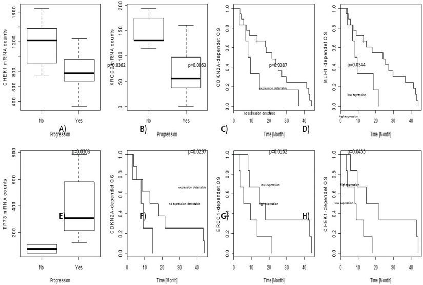 J Cancer Image