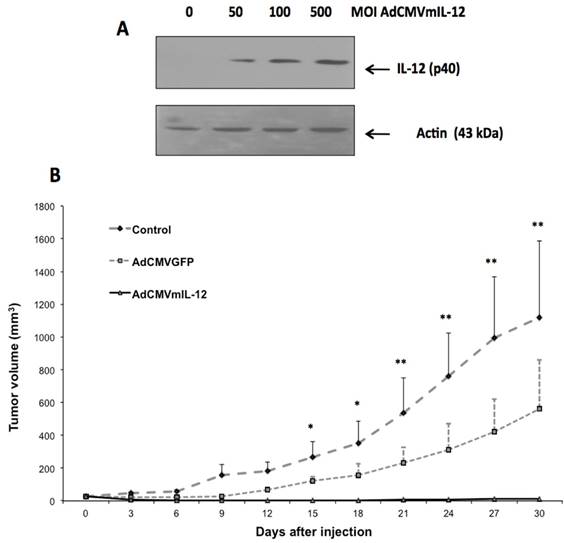 J Cancer Image