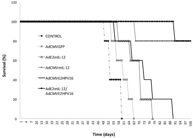 J Cancer Image