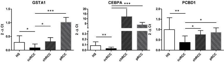 J Cancer Image