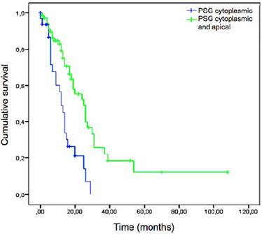 J Cancer Image