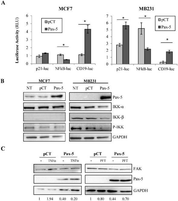 J Cancer Image