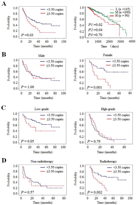 J Cancer Image