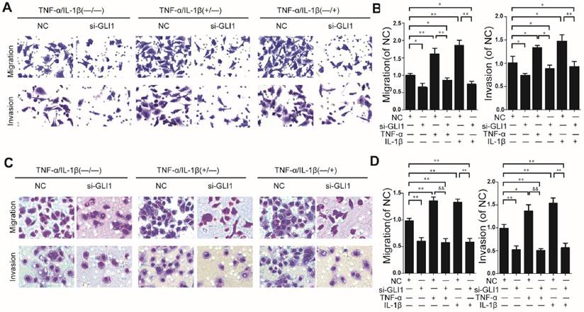 J Cancer Image