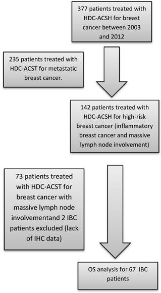 J Cancer Image