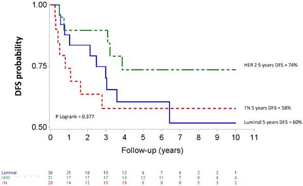 J Cancer Image