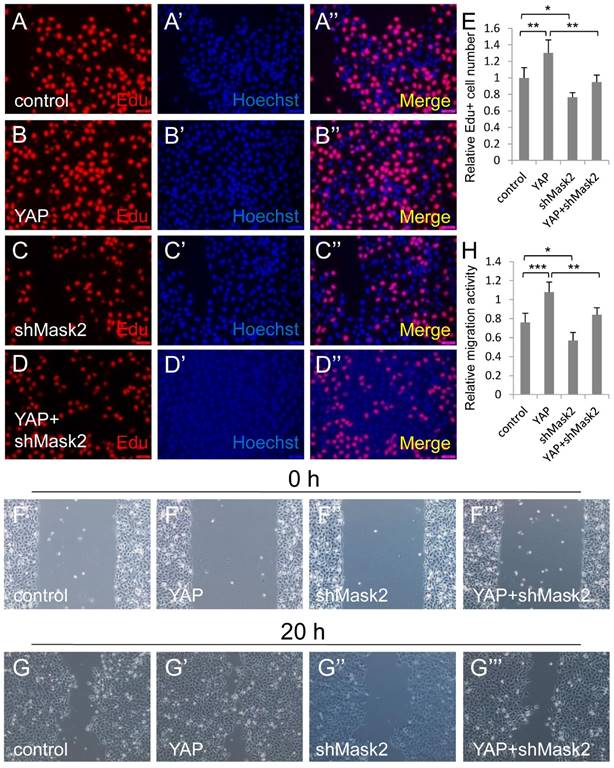 J Cancer Image