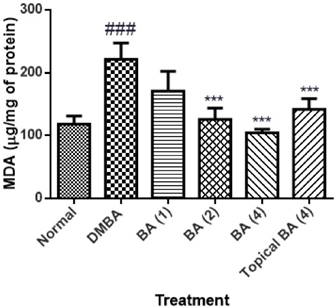 J Cancer Image