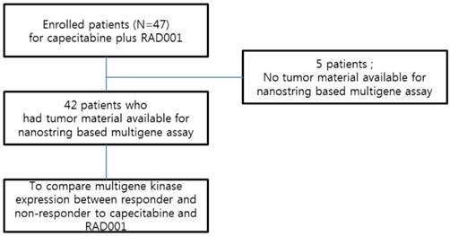 J Cancer Image