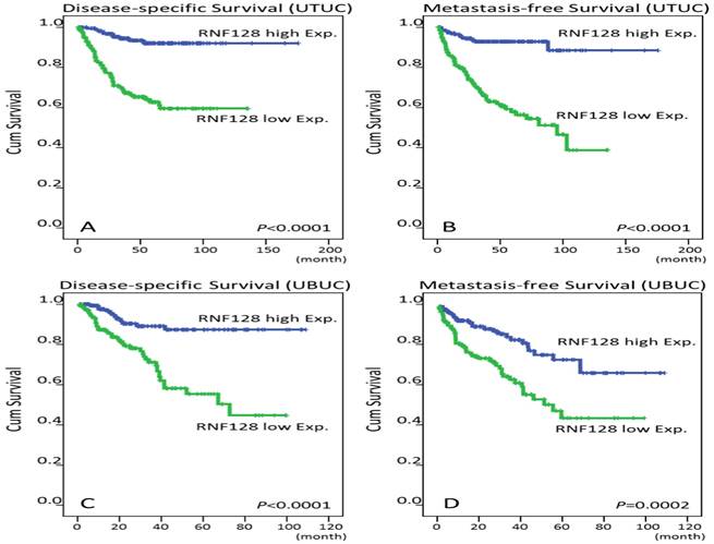 J Cancer Image