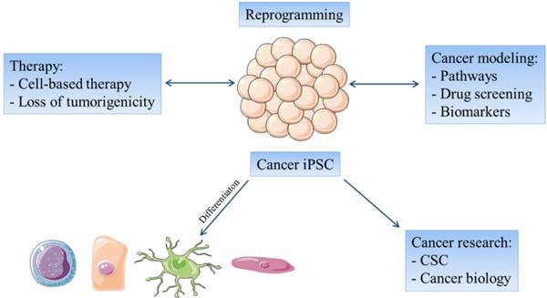 J Cancer Image