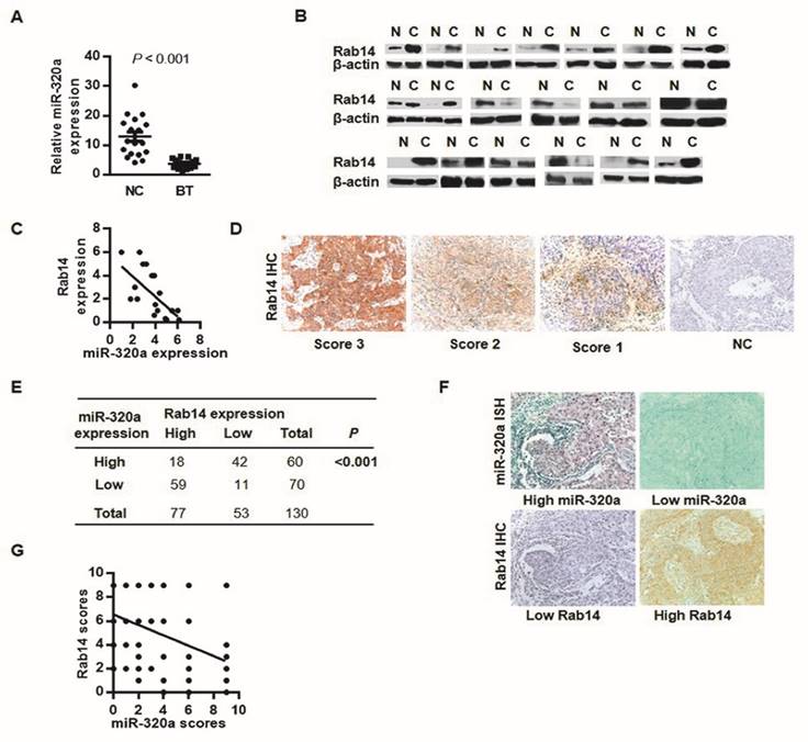 J Cancer Image