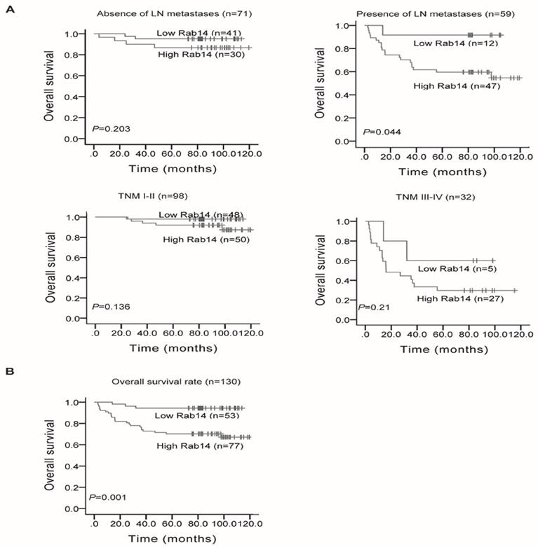 J Cancer Image