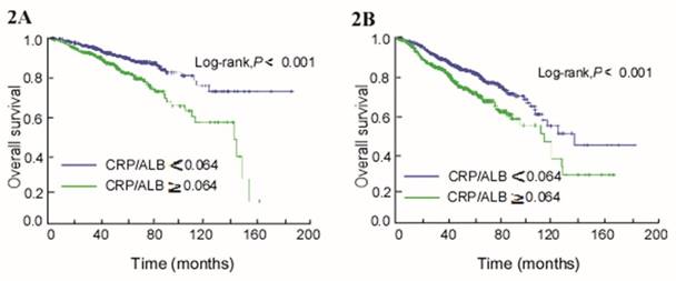 J Cancer Image