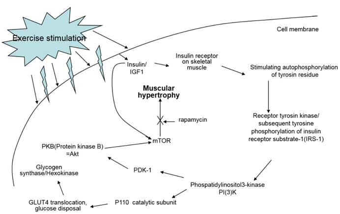 J Cancer Image