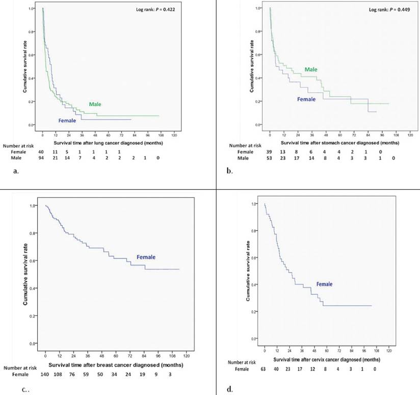 J Cancer Image