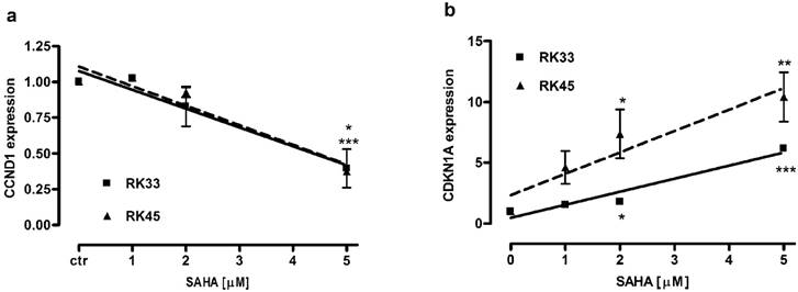 J Cancer Image